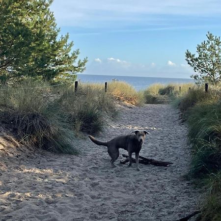 Reet Am Strand Mit Hund Karlshagen Esterno foto