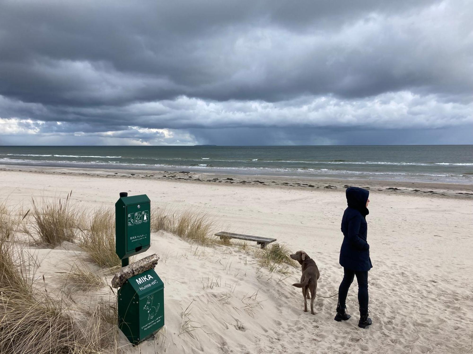 Reet Am Strand Mit Hund Karlshagen Esterno foto